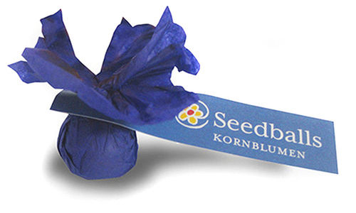 Seedballs Singlepack Kornblumen