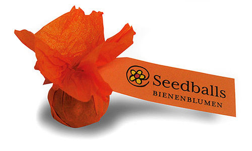 Seedballs Singlepack Bienenblumen