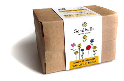 Seedballs Baukasten Sommerblumen
